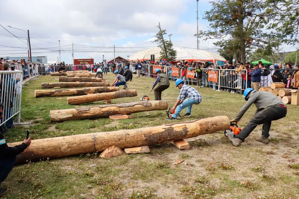 WhatsApp Image 2024-12-16 at 10.50.30 (1)