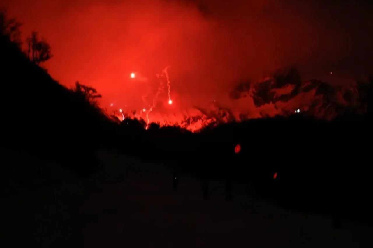 photo_4954442641240600436_y