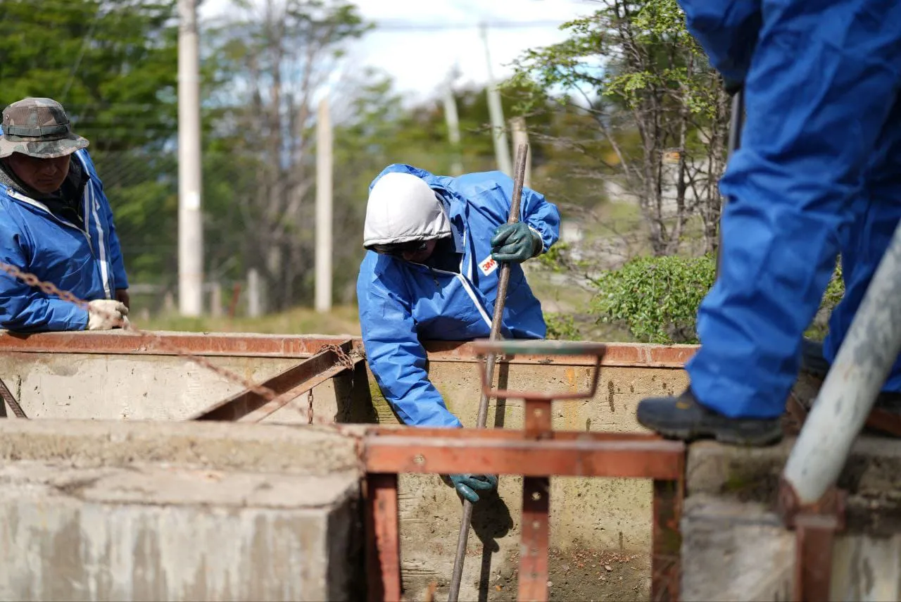 WhatsApp Image 2025-11-10 at 22.39.51