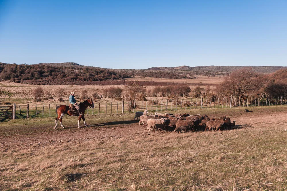 Excursion-completa-EA.-Cabo-San-Pablo-51