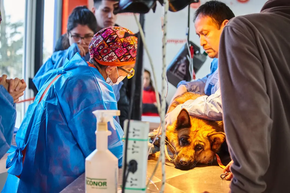 WhatsApp Image 2024-06-16 at 16.22.41(1)