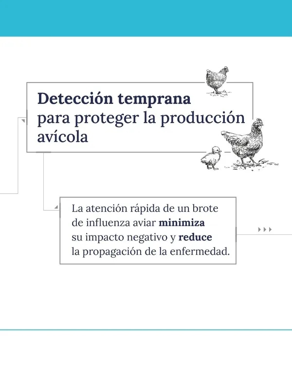 WhatsApp Image 2025-02-12 at 19.13.28