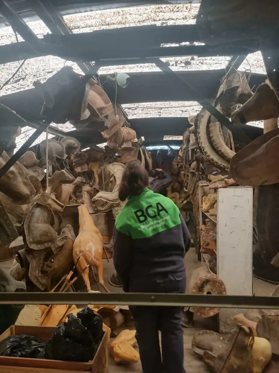 WhatsApp Image 2025-04-25 at 15.34.36