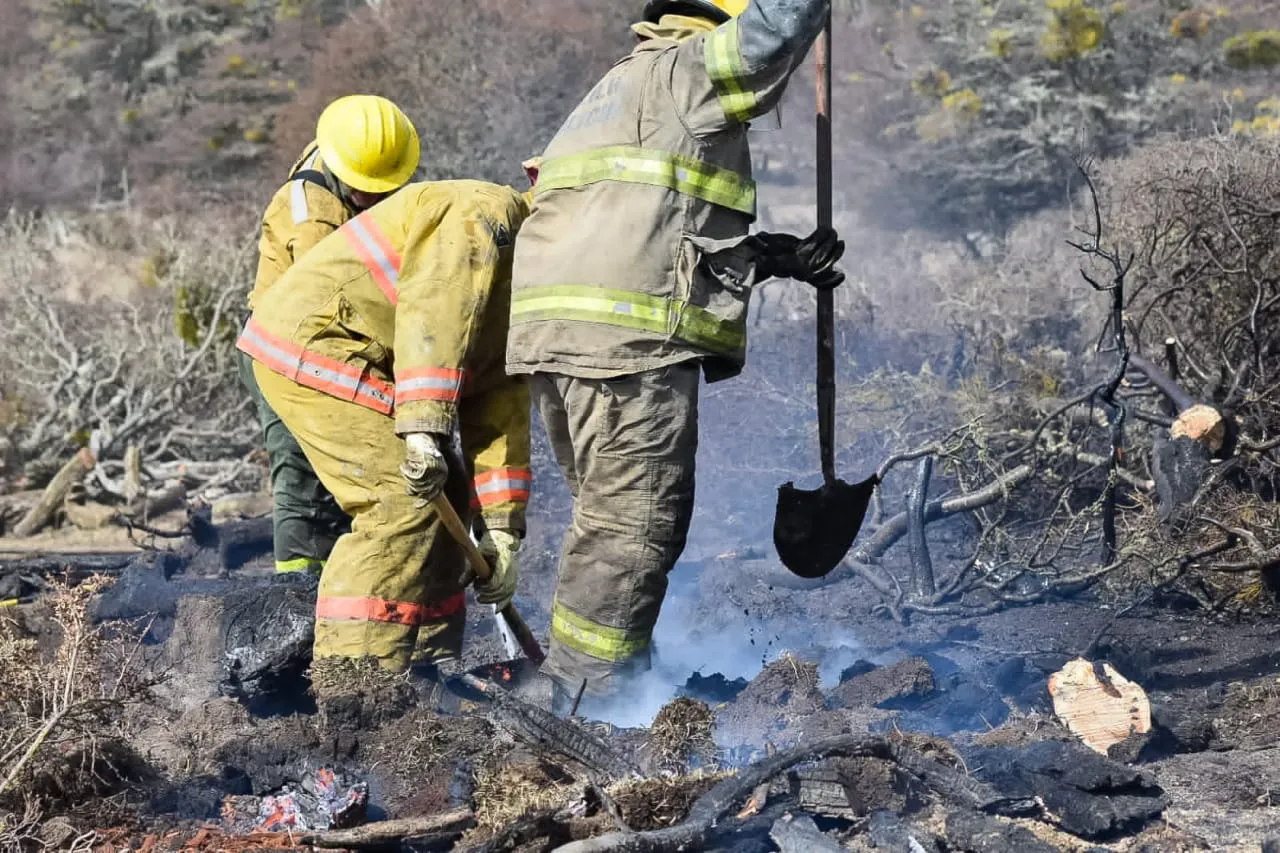 WhatsApp Image 2023-10-25 at 21.48.01 (1)