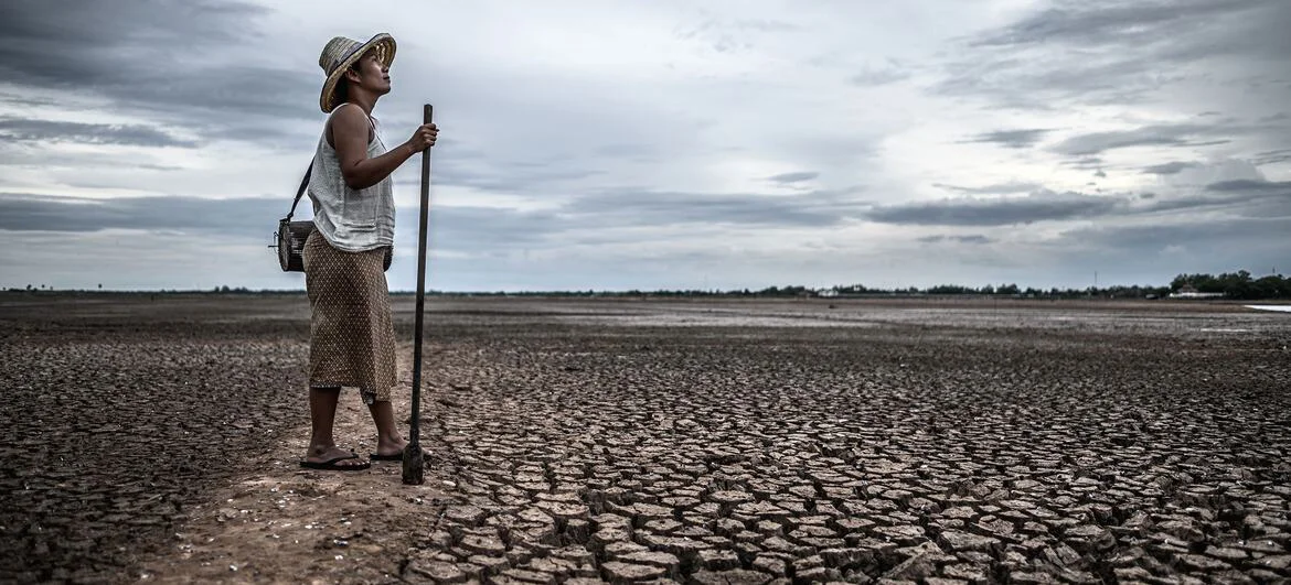 © Adobe Stock/Johnstocker Una mujer permanece de pie, sosteniendo un palo, en un vasto campo de tierra agrietada y seca.