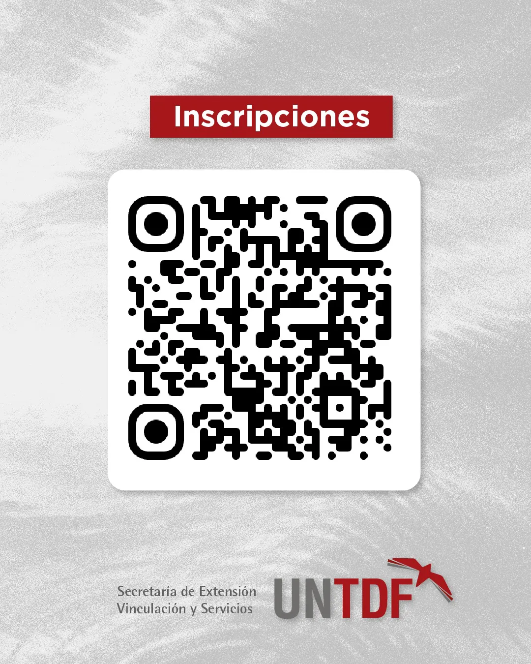 WhatsApp Image 2025-10-09 at 14.47.07