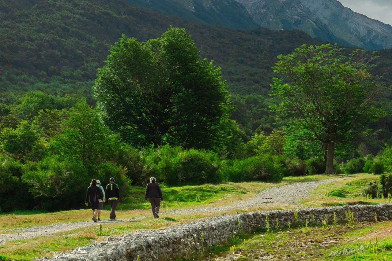 WhatsApp Image 2025-01-31 at 20.37.36