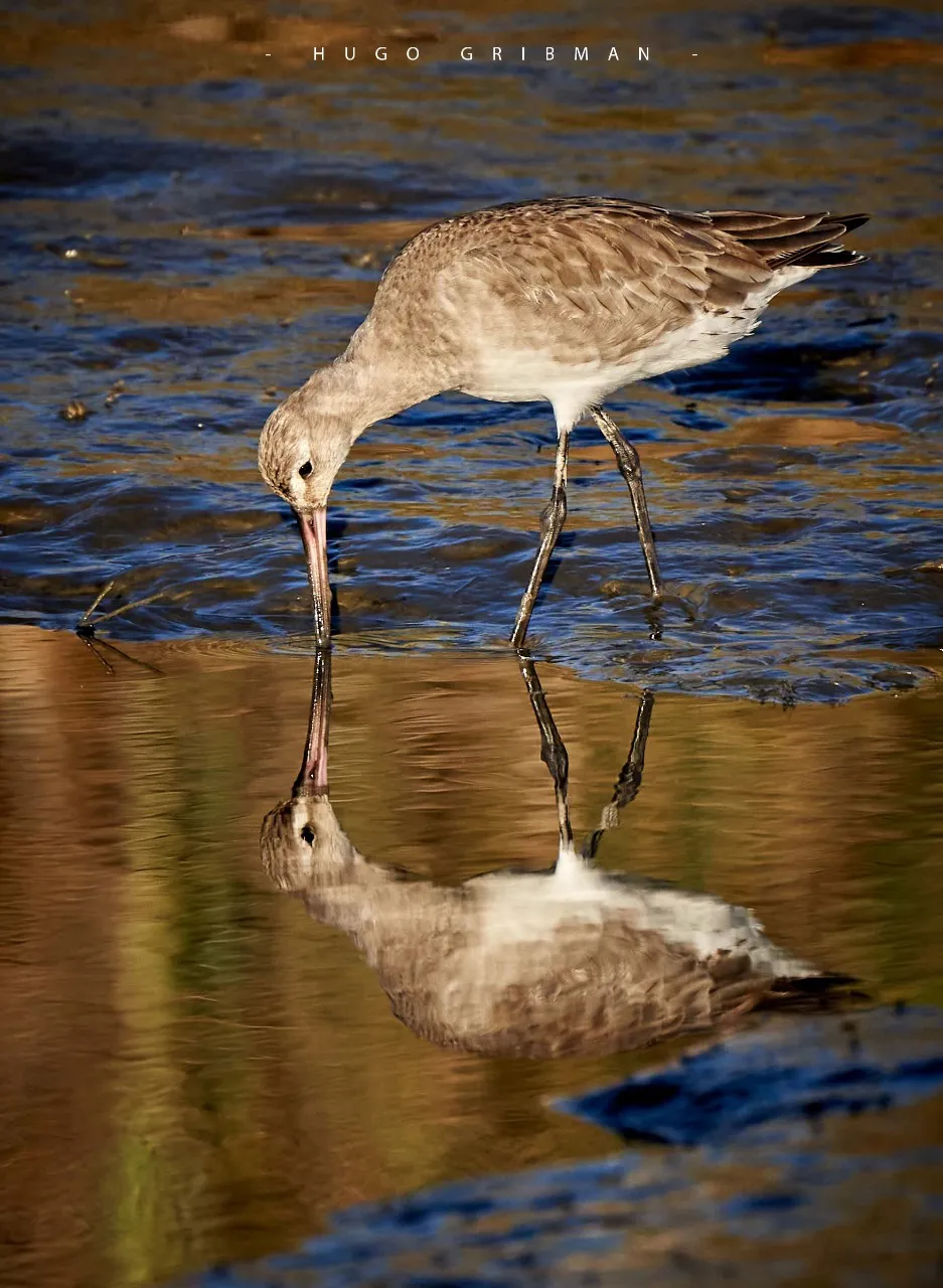 WhatsApp Image 2025-11-07 at 20.55.36