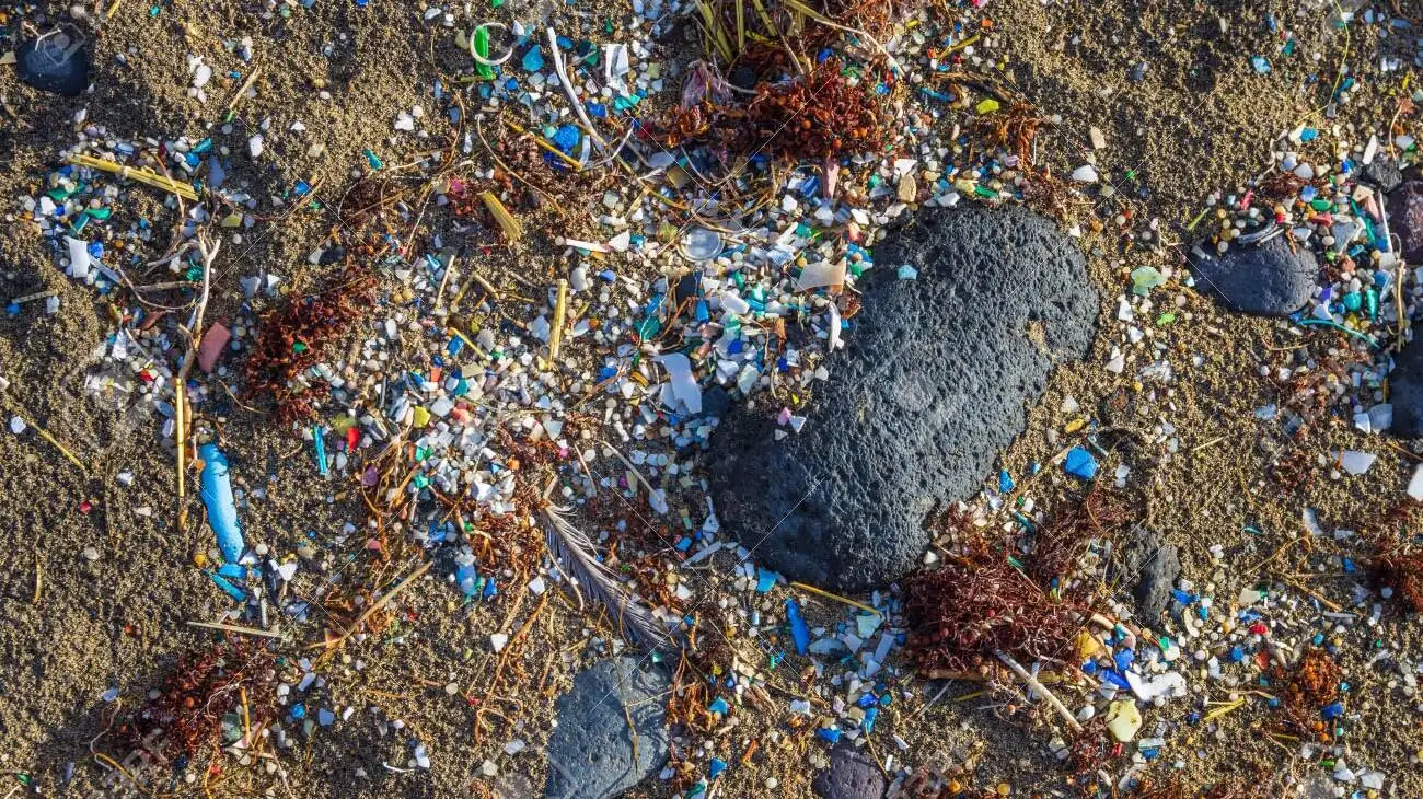 microplasticos-1809547