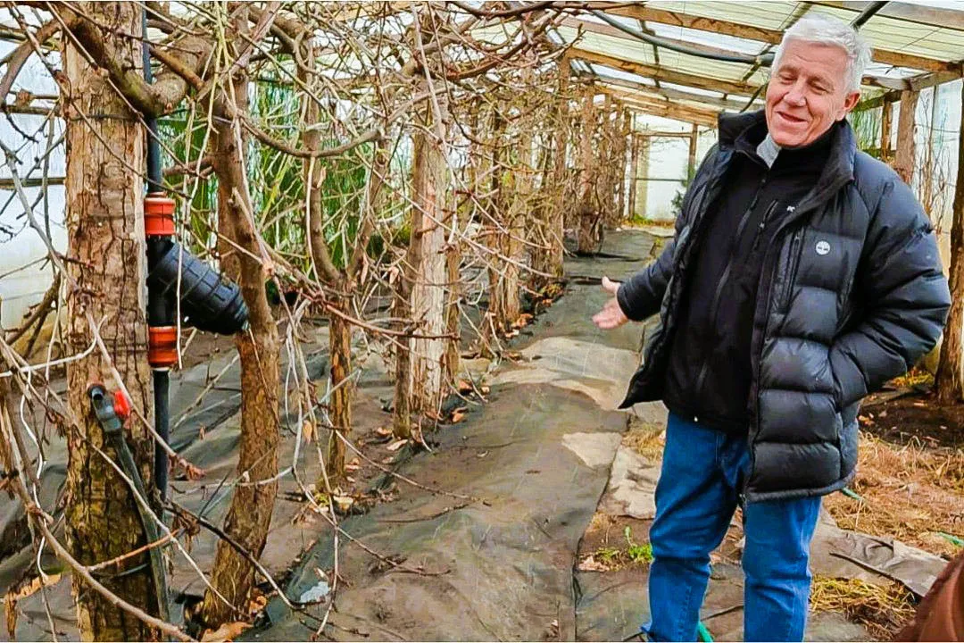 WhatsApp Image 2023-11-08 at 16.27.56