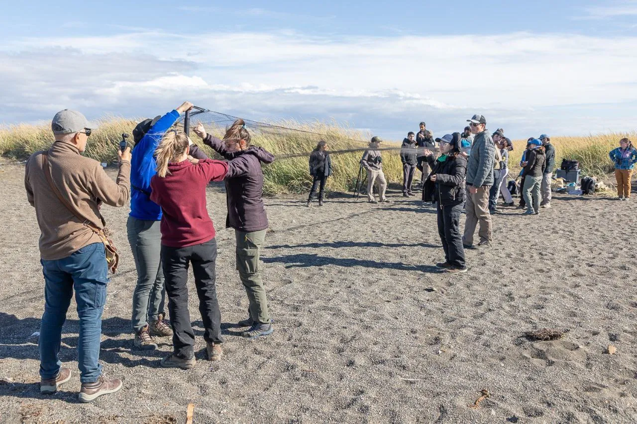 WhatsApp Image 2026-02-10 at 23.50.40 (3)