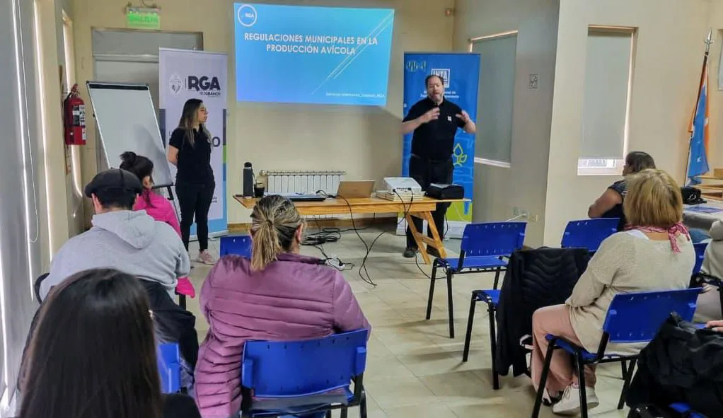 WhatsApp Image 2025-03-26 at 01.50.43