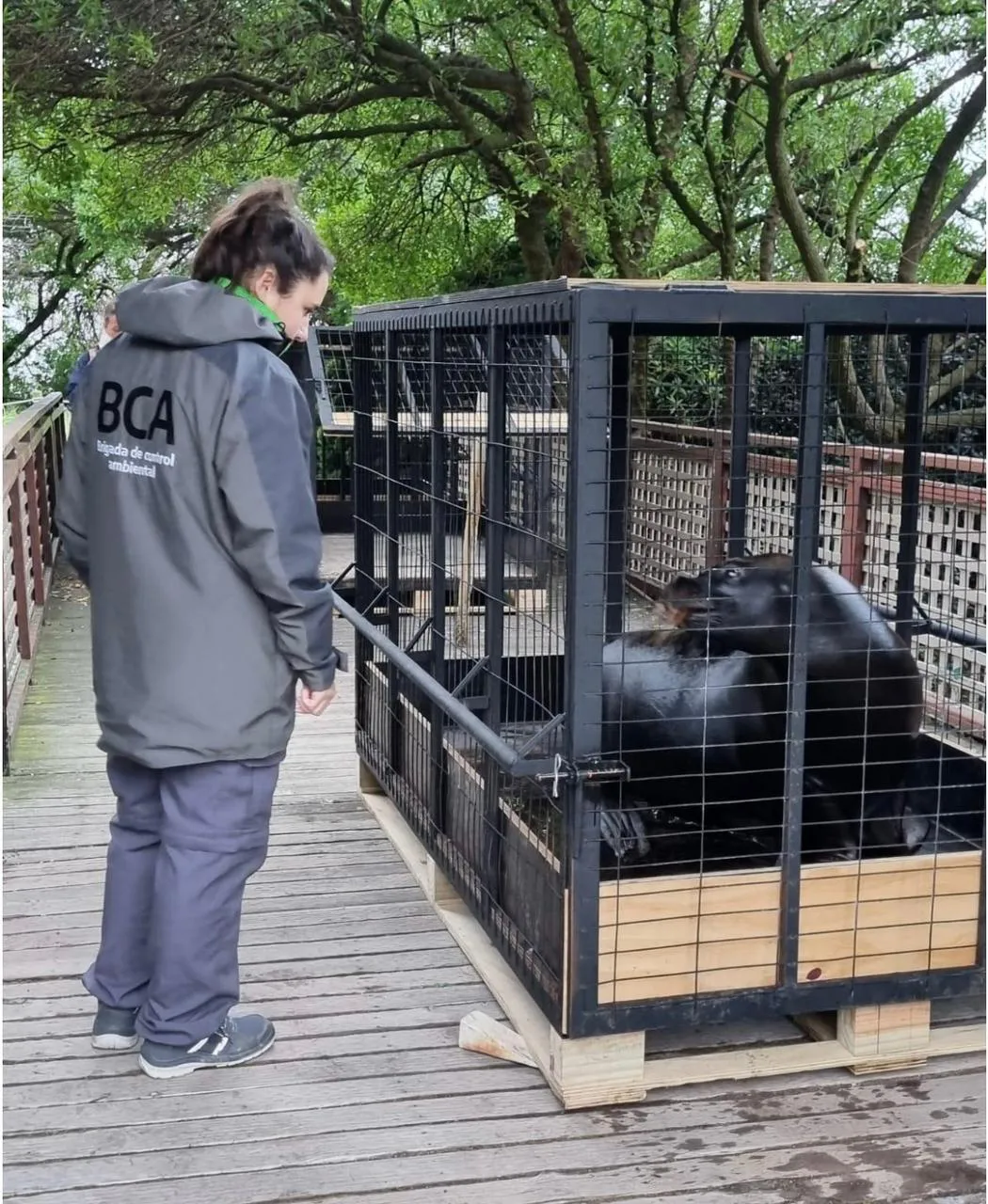 WhatsApp Image 2025-08-17 at 22.44.54