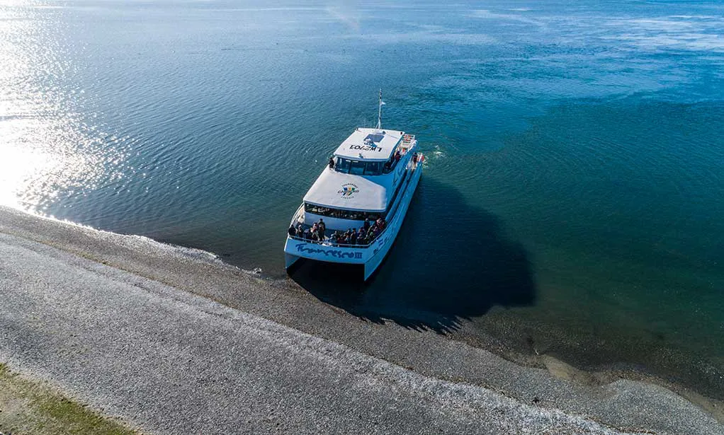 catamaran_francesco_2