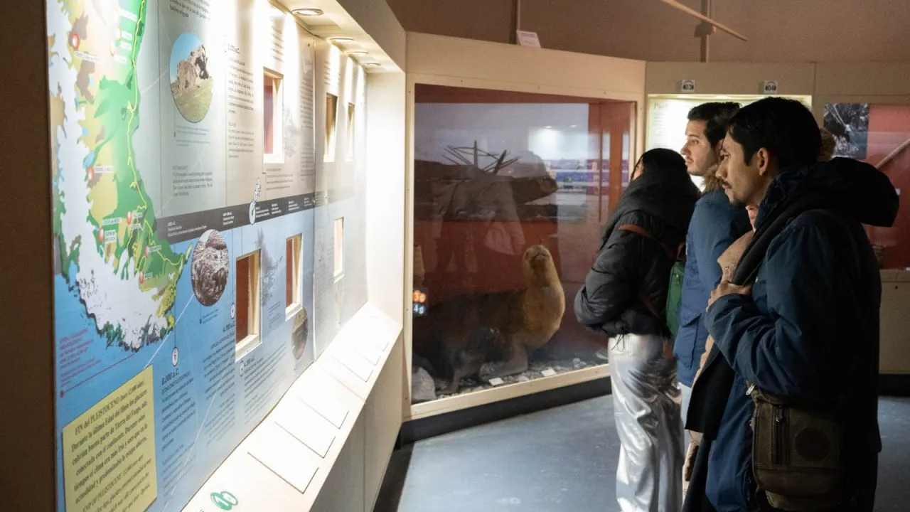 WhatsApp Image 2025-01-06 at 21.07.08