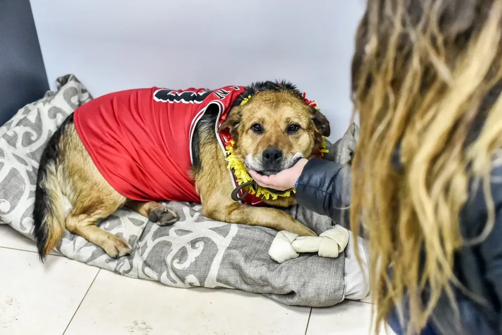 WhatsApp Image 2024-05-29 at 11.24.37