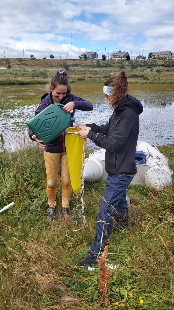 WhatsApp Image 2024-03-02 at 17.16.24