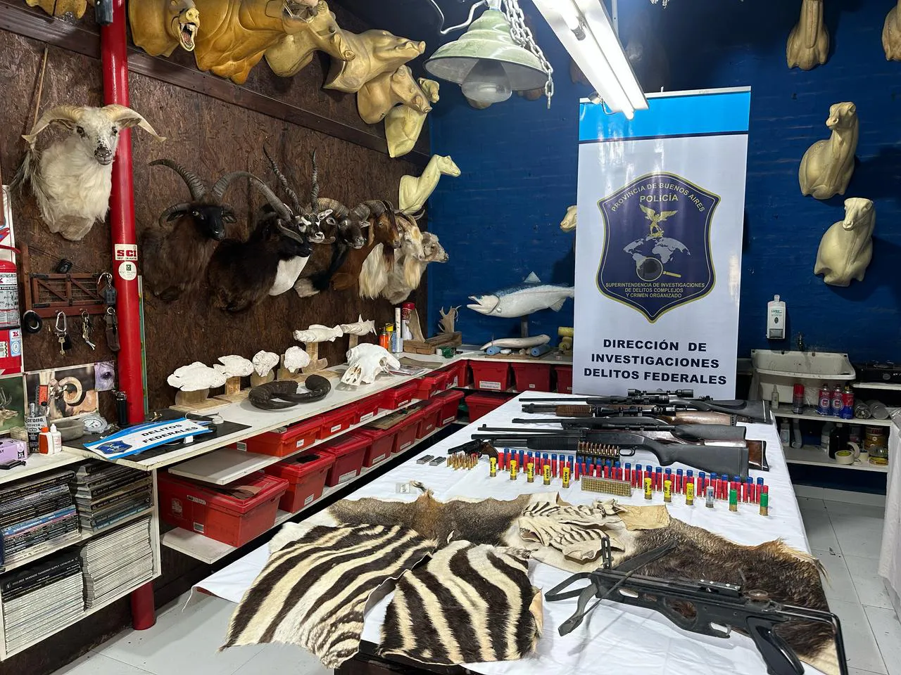 WhatsApp Image 2025-04-25 at 15.34.32