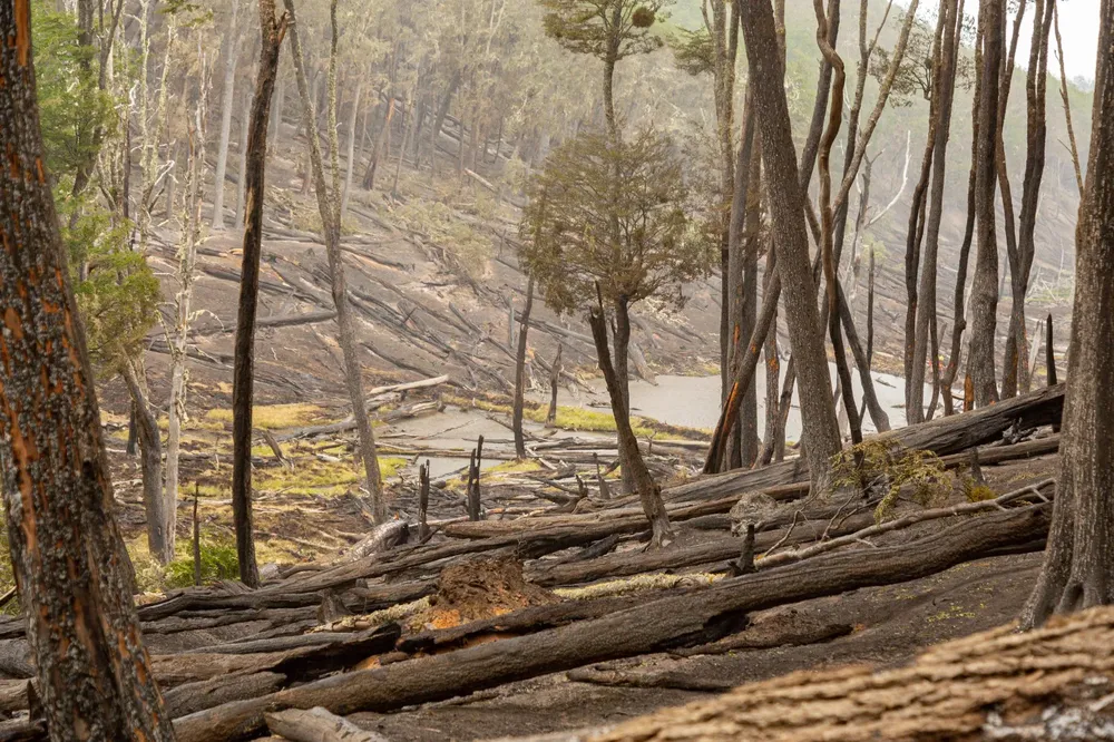 WhatsApp Image 2023-10-24 at 09.22.57 (2)