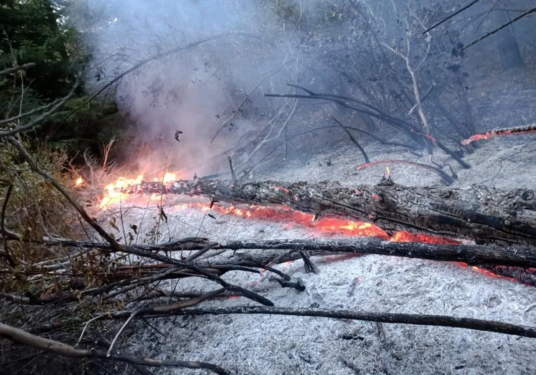 WhatsApp Image 2025-03-27 at 12.04.27