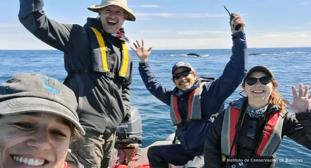 Equipo feliz con Hueso 2023 - Instituto de Conservación de Ballenas