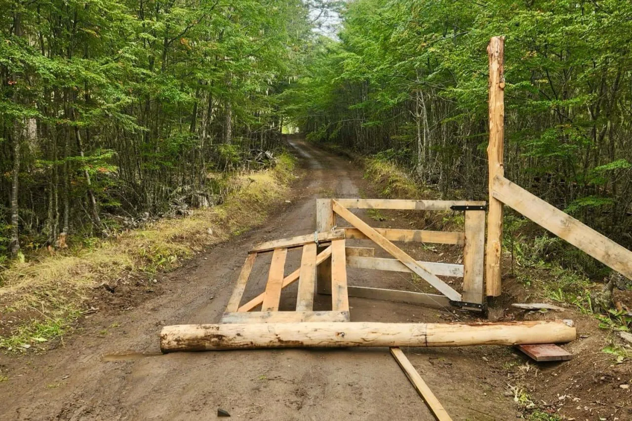 WhatsApp Image 2025-03-12 at 19.12.11(2)