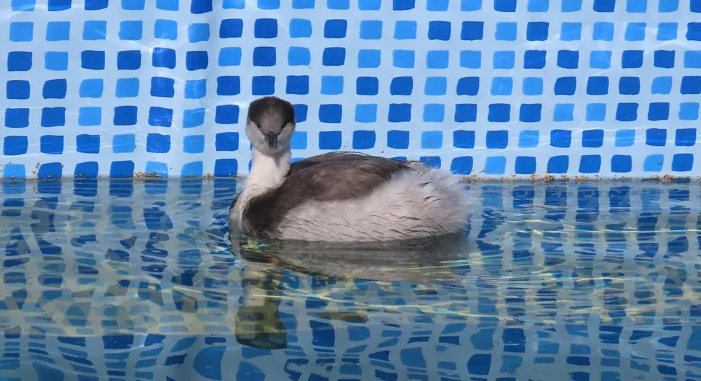 WhatsApp Image 2026-01-15 at 23.12.50