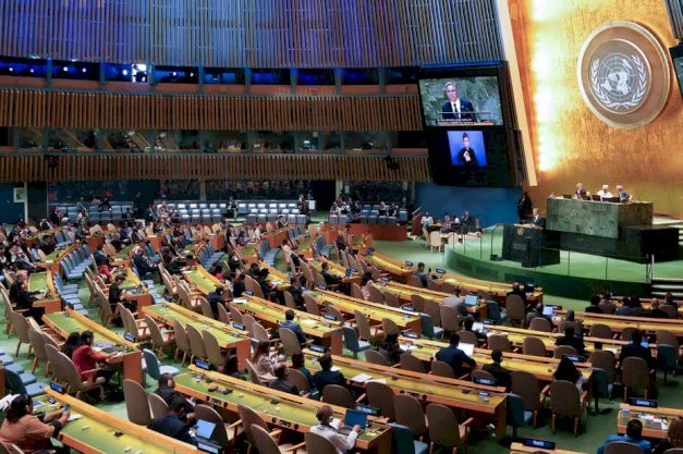 875665-un_1729794985