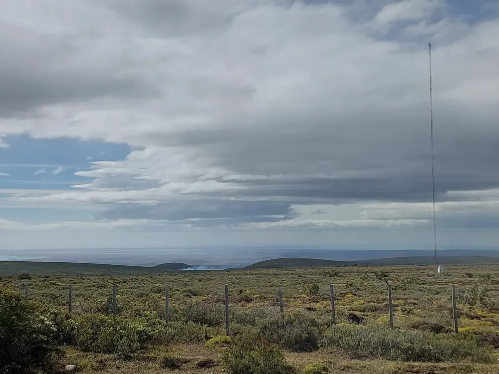 WhatsApp Image 2024-01-21 at 19.35.03