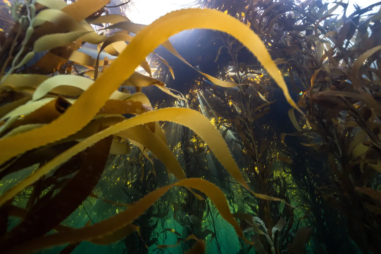 Expedición Península Mitre 3 - Foto de Joel Reyero (1)