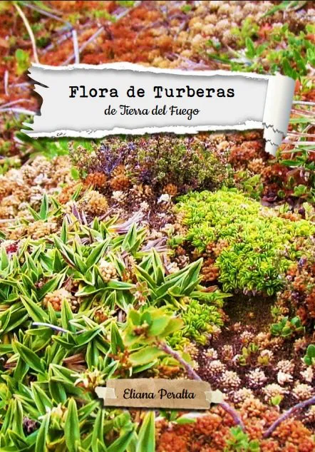 tapa libro  2 flora de turberas de tdf_1761671736