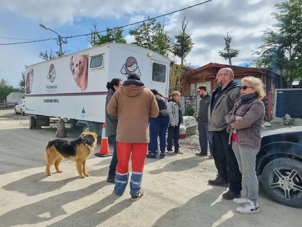 WhatsApp Image 2025-01-06 at 09.13.53