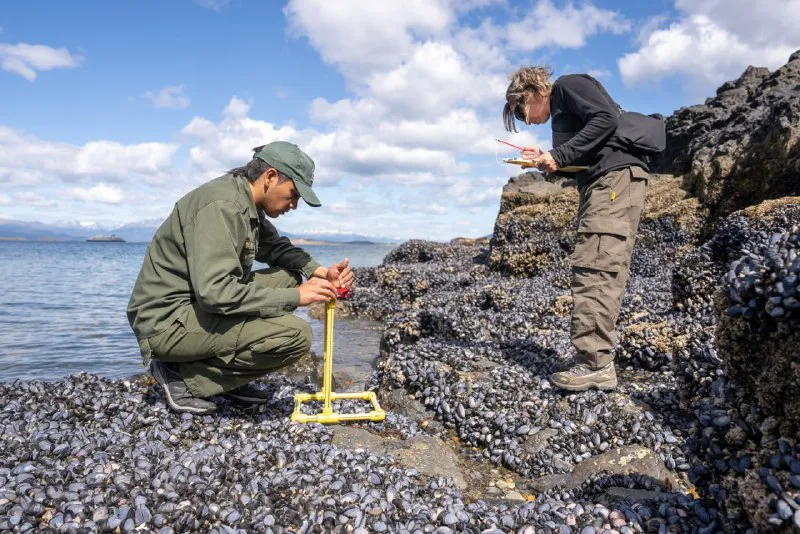 WhatsApp Image 2024-07-30 at 14.18.12 (1)