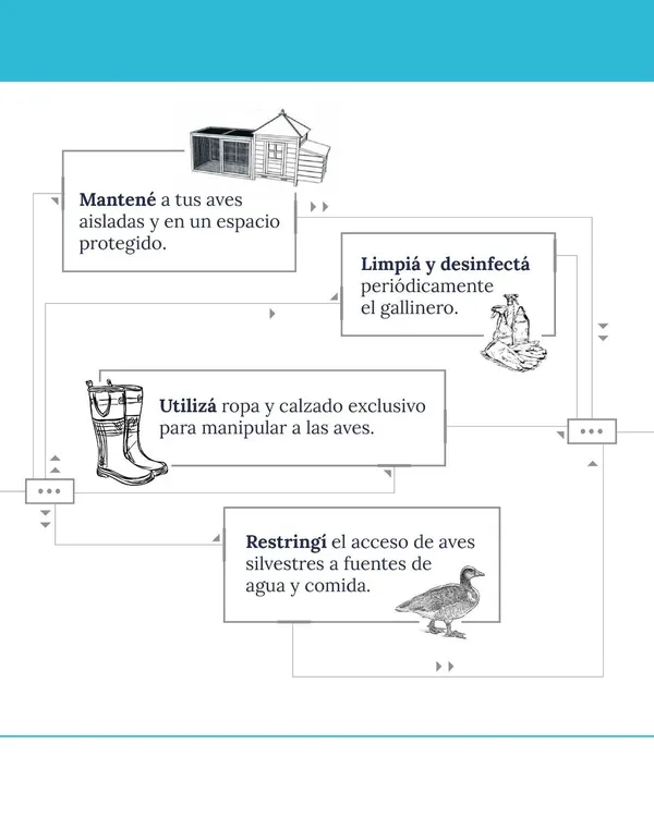 WhatsApp Image 2025-02-12 at 19.13.28(1)