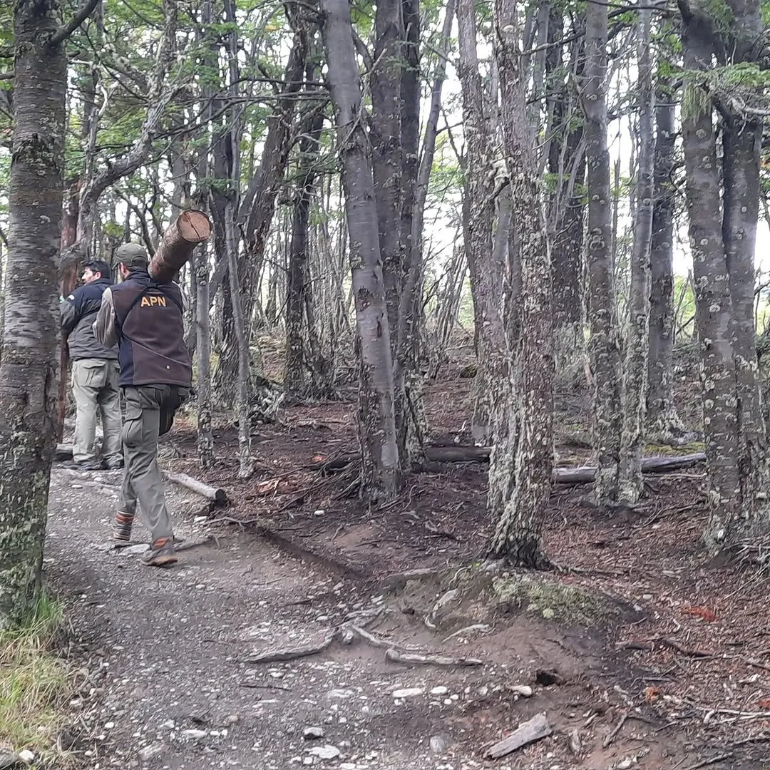 Puesta en valor del Mirador Bahía Lapataia El Parque Nacional Tierra del Fuego continúa trabajando para ofrecer servicios de calidad y revalorizar sus espacios más emblemáticos. Actualmente, nos encontramos en la segunda -5