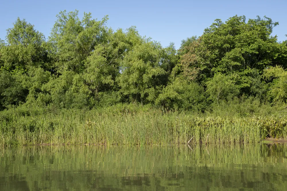 credito_Rodrigo Folch (6)