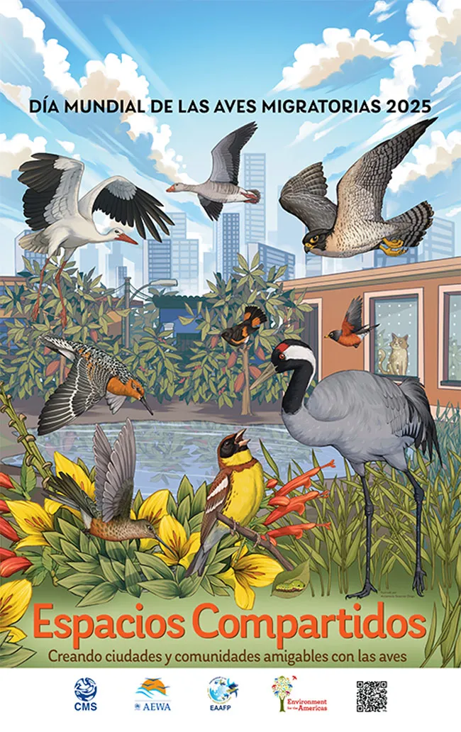 05-10_dia-mundial-aves_m