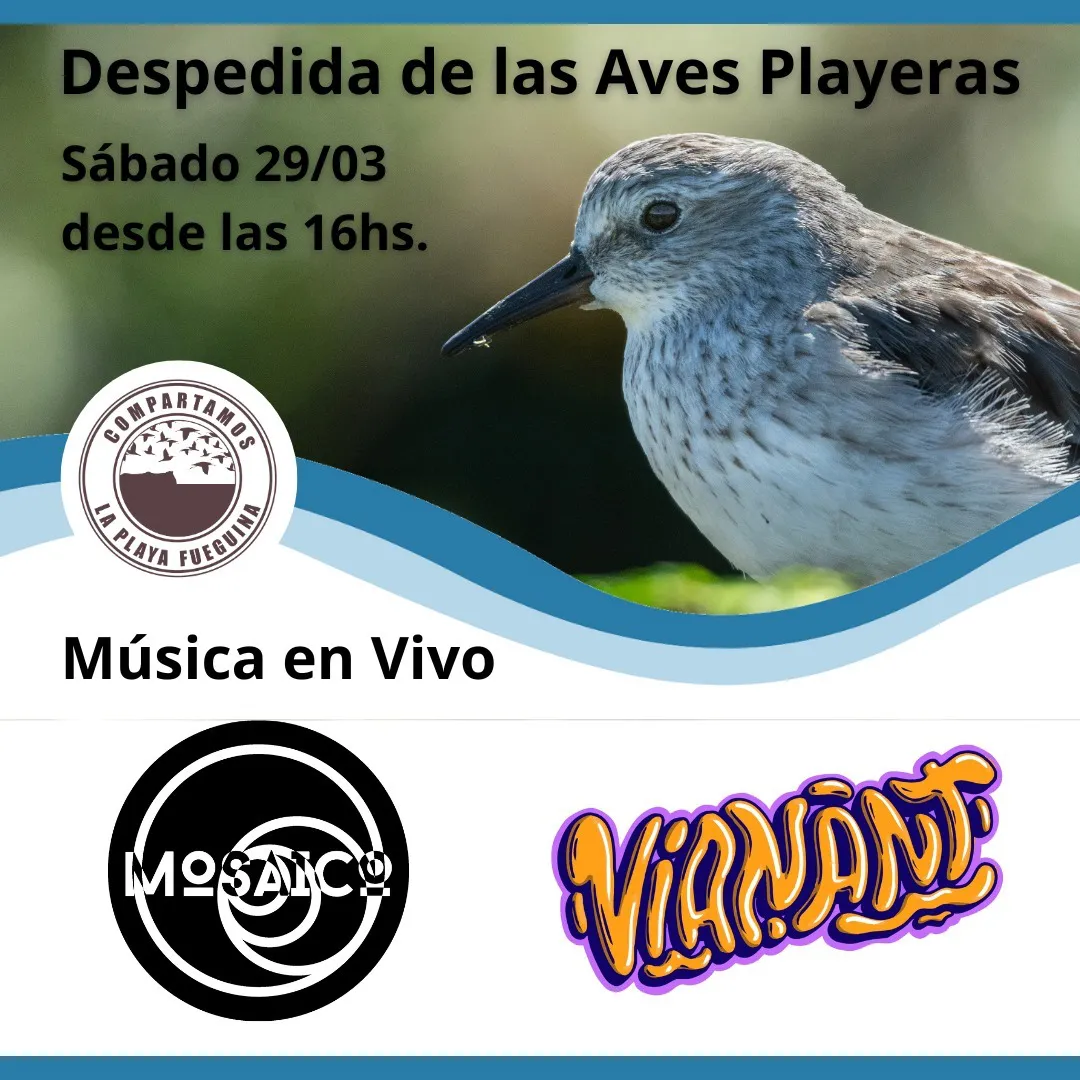 WhatsApp Image 2025-03-29 at 12.15.49