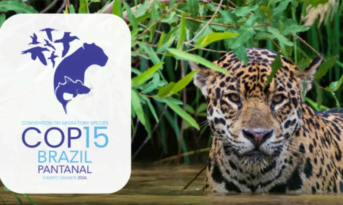 cop15-Agencia-Brasil