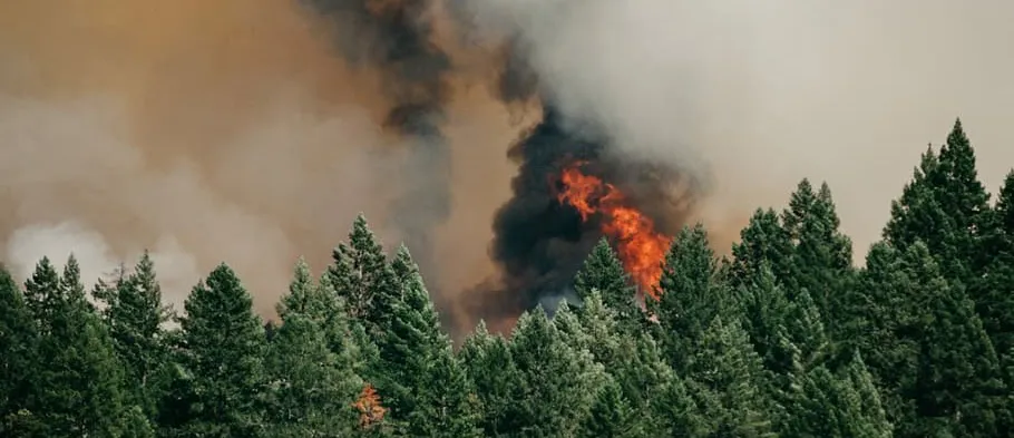 467588912_555344764024327_5898247181497985_n