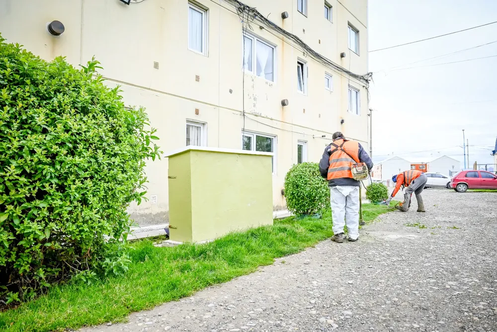 WhatsApp Image 2024-03-14 at 14.38.31