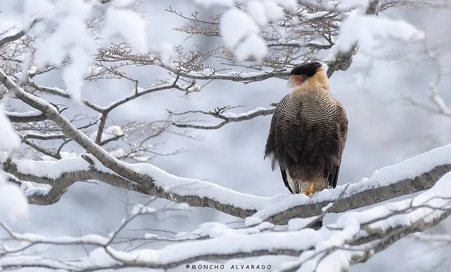 multimedia.normal.965b7776518c5b18.NTMxNTA3NDUzNzJfYjI1NmRiZWIzZl96X25vcm1hbC53ZWJw