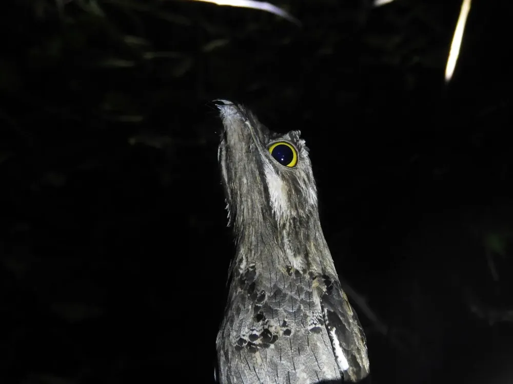 565935560_4348443978775595_5611763832582807916_n