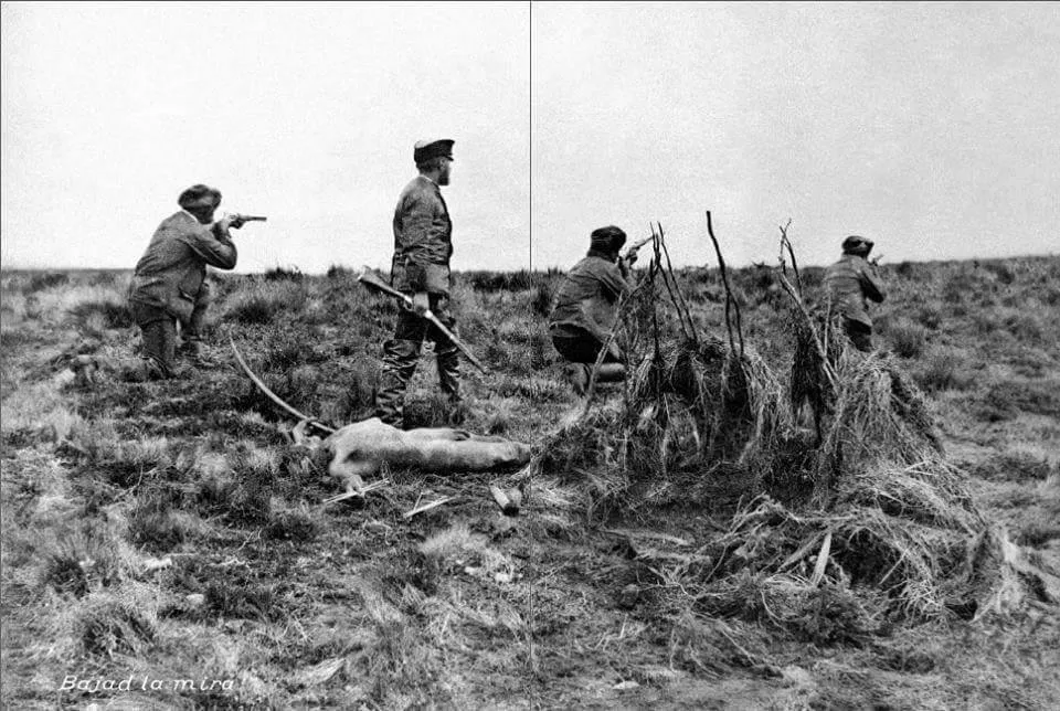 464954497_8478586002191181_7078721465439899584_n