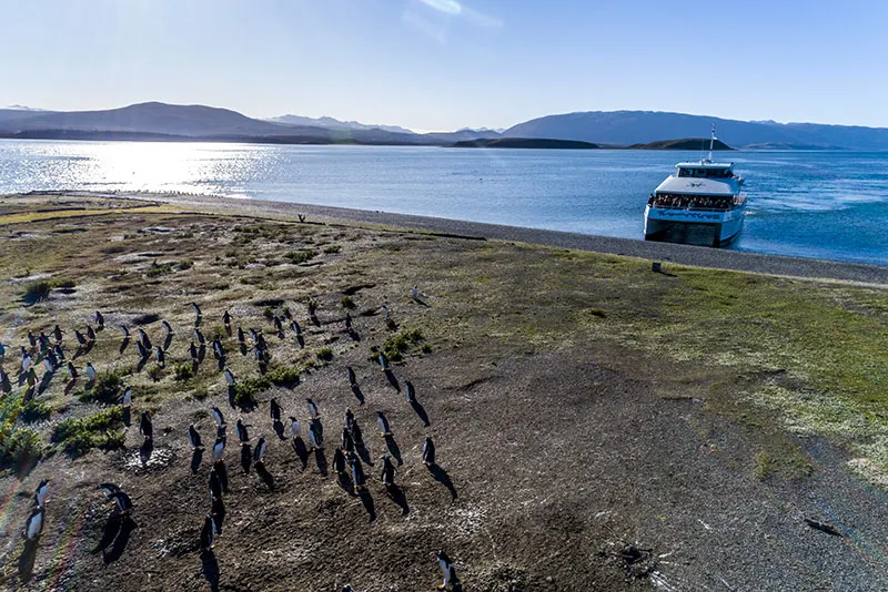 20190414-DJI_0074CANOERO