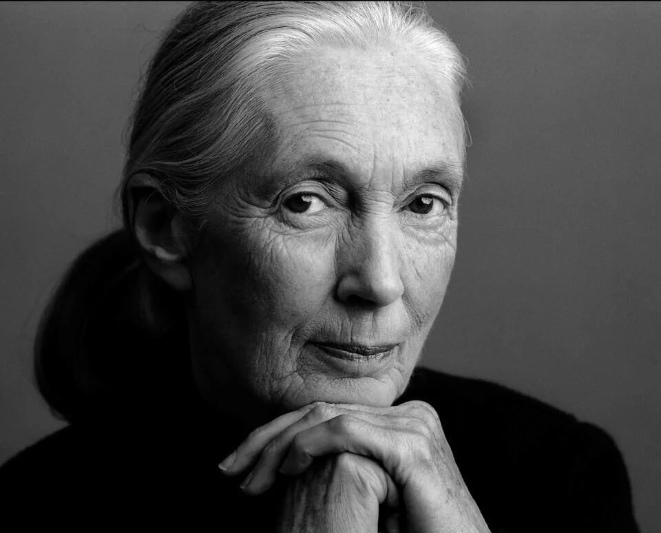 Jane-Goodall__foto-®-the-Jane-Goodall-Institute-2-.jpg