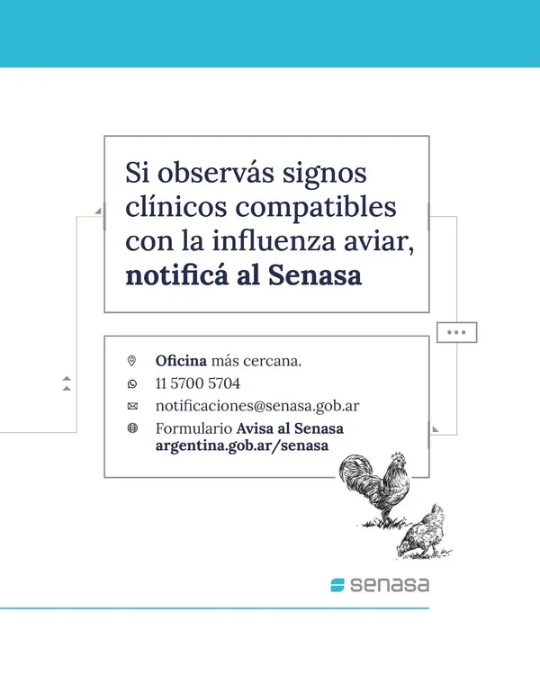 WhatsApp Image 2025-02-12 at 19.13.29