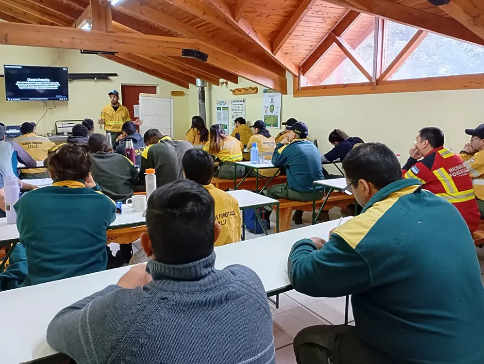 WhatsApp Image 2024-10-14 at 11.33.41(1)