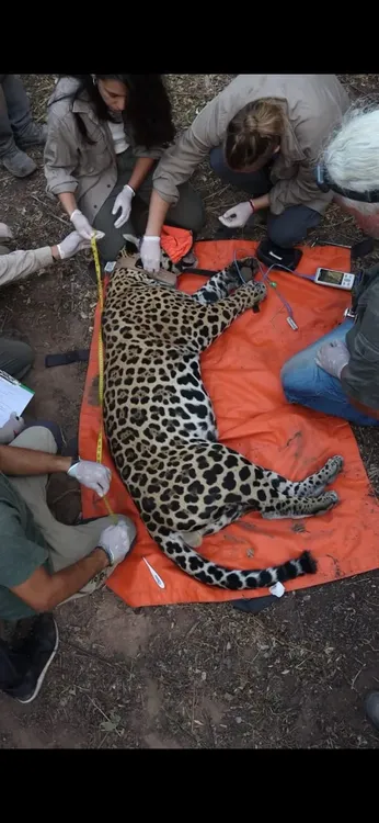 WhatsApp Image 2024-12-17 at 21.28.20