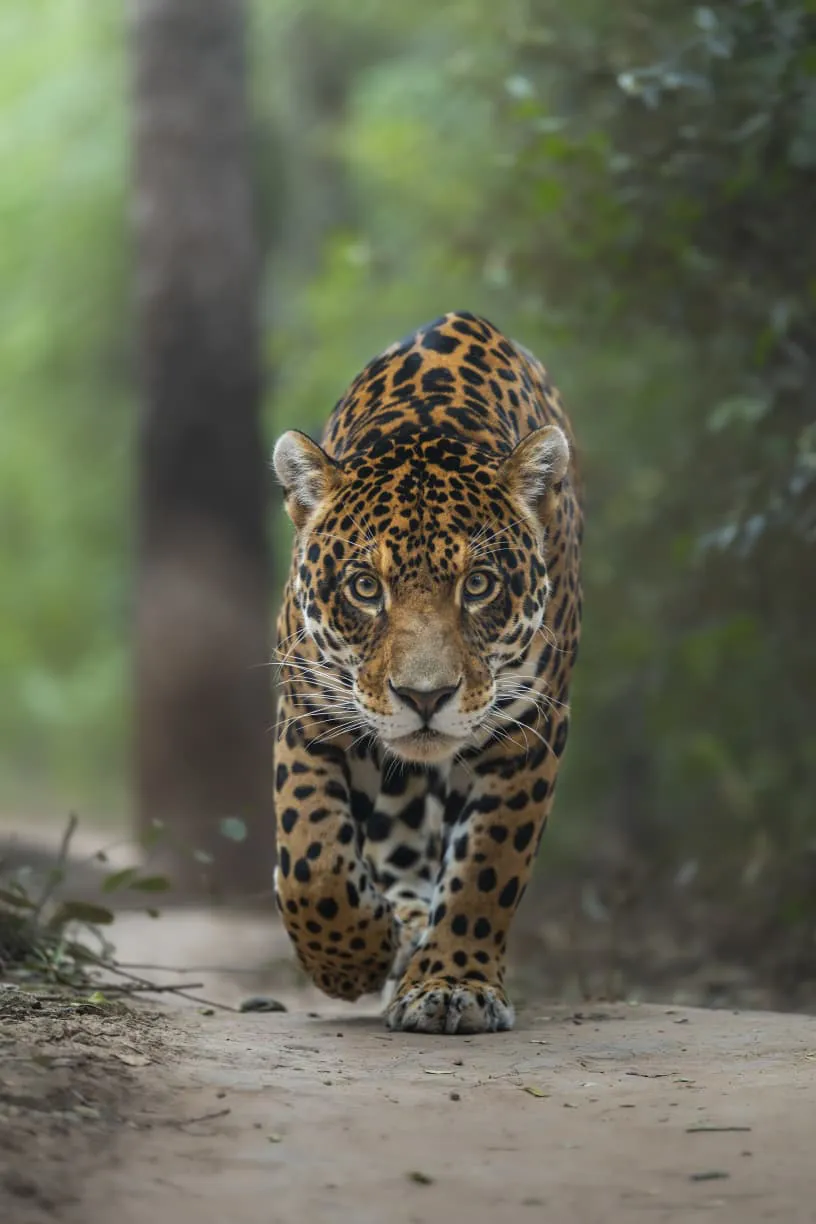 Foto ganadora Foto ganadora